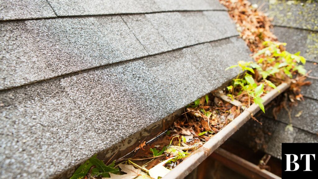 Top 9 roofing problems: Clogged Gutters