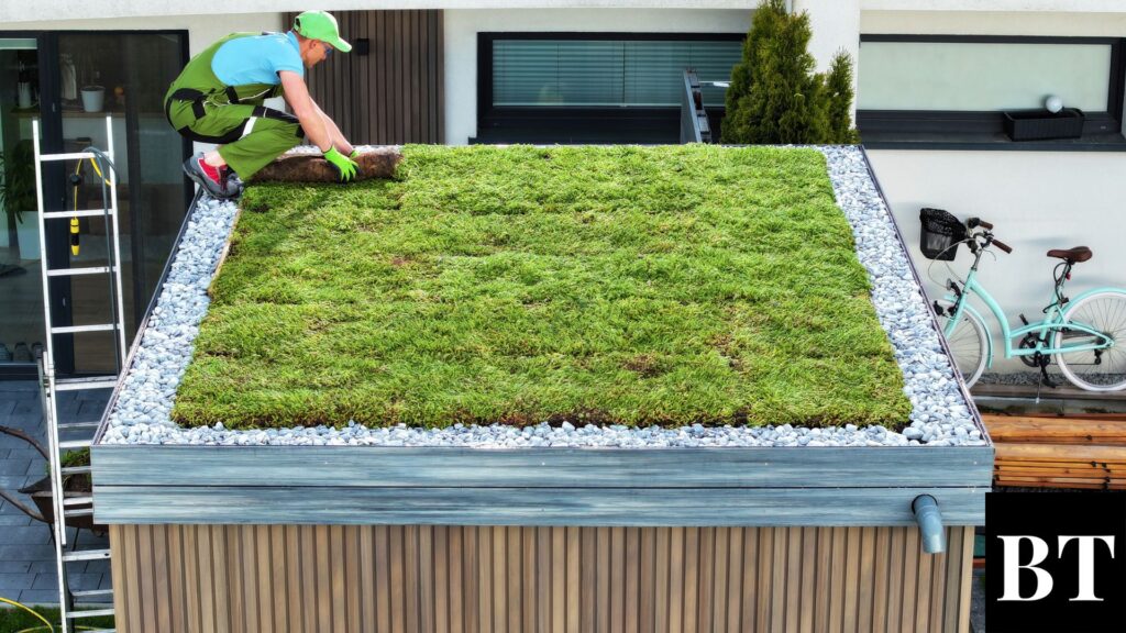 The Green Revolution: Living Roof