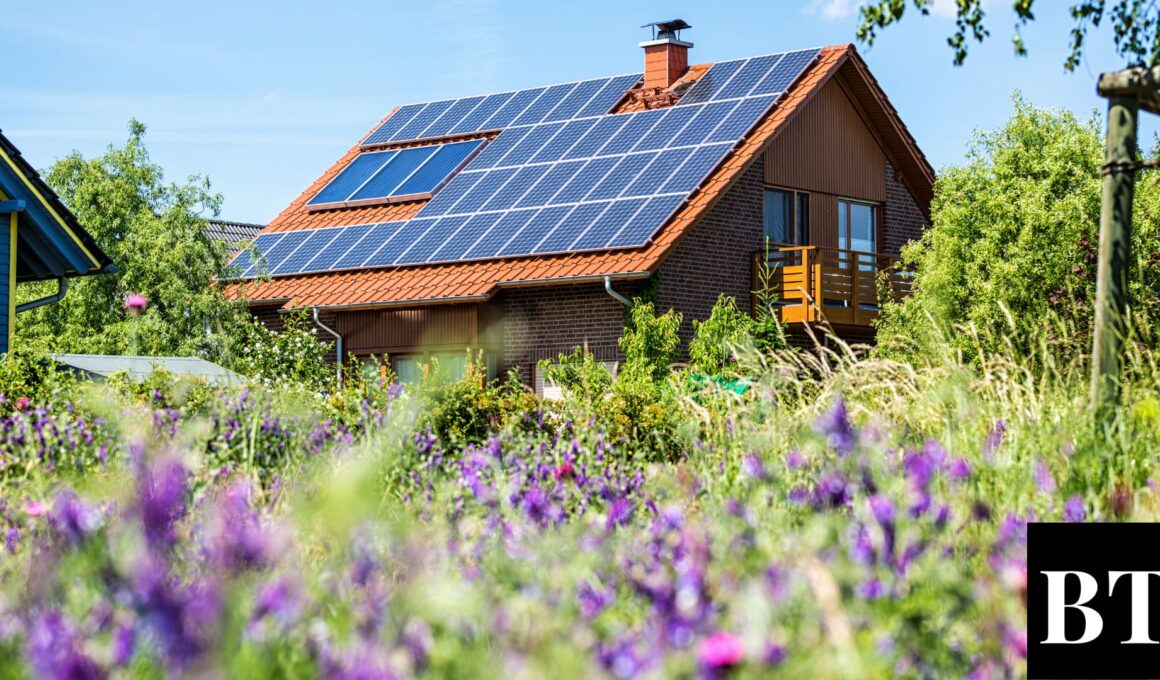 Everything you need to know about solar panels